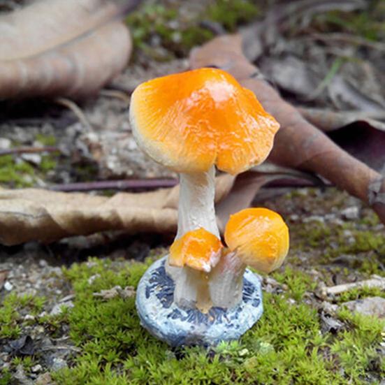 Realistic Mushroom Toadstool Miniature Ornament Fairy Garden Terrarium Dollhouse Decor for Bonsai Terrariums