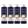 Kerasis Coconut Oil Conditioner Coco Flower Scent 1L 4 pcs