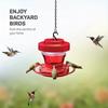 Bird Feeder with 8 Hanging Feeding Ports, Detachable Hummingbird Feeder, Suitable for Outdoor Garden and Courtyard Bird Feeders