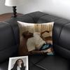 KKendrick LamarR Rapper Cushion Cover Natural Linen Organic Fabric DoubleSided Printing Sofa Home Decor Gift Pillow Case