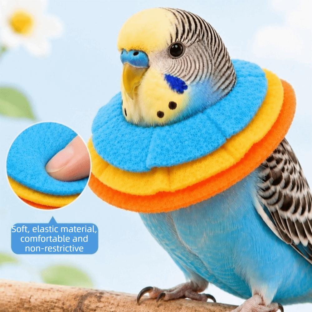 Comfortable Parrot Elizabethan Collar Anti-Bite Parrot Recovery Cone for Small Cats