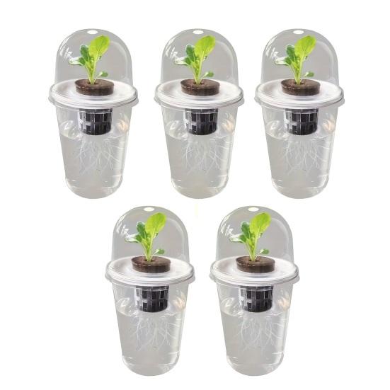 Станция для размножения растений Горшок для семян Прозрачная чашка с рассадой Стартер для проращивания семян Гидропонная корзина Купольная крышка