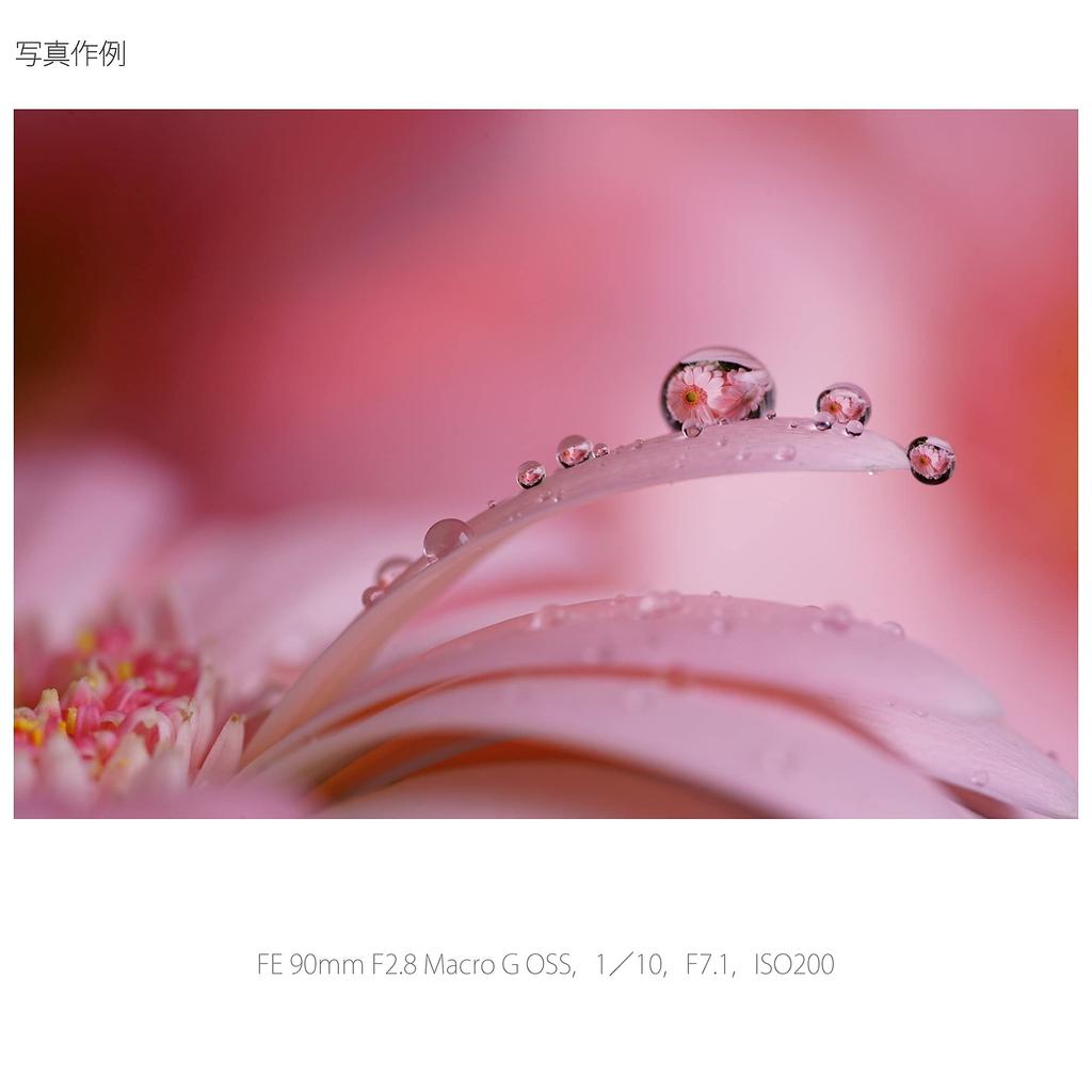 Sony Macro Full Size FE 90mm Macro G OSS G Lens for Digital Single Lens Camera Genuine Lens SEL90M28G F2.8 [E Mount]