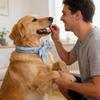 Dog Cat Cooling Neck Wrap Reusable Ice Scarf Anti-heatstroke Accessory for Outdoor Walking