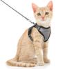 Cat Puppy Outdoor Walking Supplies Fashion Pet Harness And Leash Set For Small Dogs Cats Breathable Durable Kitten Harnesses