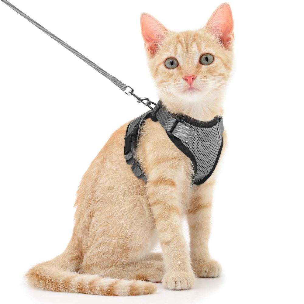 Cat Puppy Outdoor Walking Supplies Fashion Pet Harness And Leash Set For Small Dogs Cats Breathable Durable Kitten Harnesses
