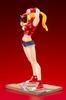 SNK Bishoujo SNK Heroines Tag Team Frenzy Terry Bogard 1/7 Scale PVC Painted Finished Figure