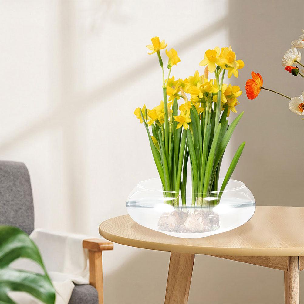 Прозрачный стеклянный горшок для суккулентов Маленький цветочный горшок для гидропоники Воздушных растений Бонсай Микроландшафт Настольный Офис Домашний Декор