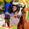 3Pcs Horse Fly Masks With Ears Face Covering For Horse Pony, Black, Gray, Blue