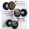 Rubber-Coated Dumbbell Set with Storage Rack