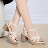 New Woman Summer Sandals Roman Braid Fish Mouth Thick Heel Thick Sole Versatile Middle Heel Black Breathable Comfortable