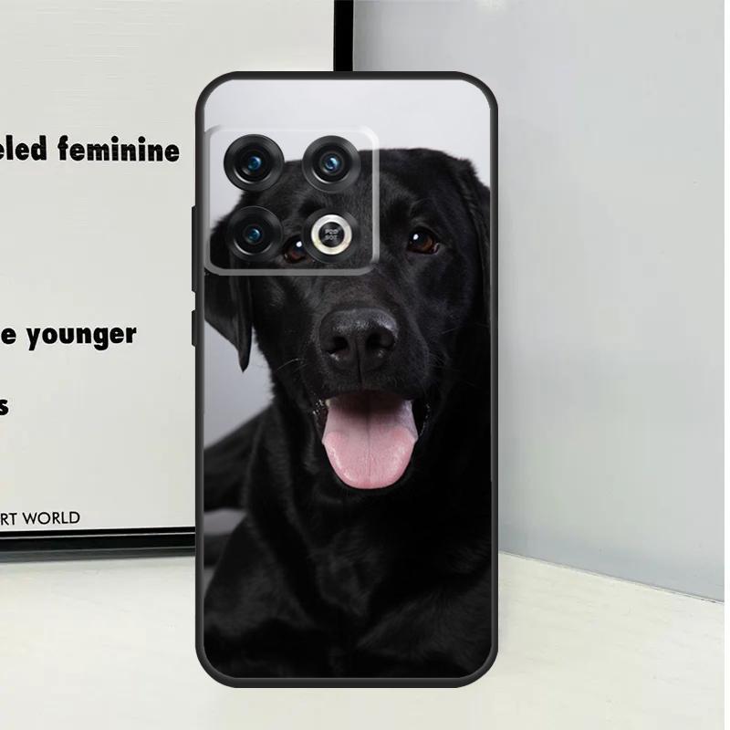 Black Labrador Dog For OnePlus Nord 5 CE 4 3 Lite N20 N30 Case For OnePlus 15 12 13 11 9 10 Pro 10T 12R 13R 13T