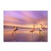 Flamingo Large Carpet Feather Wind Bedroom Floor Mat