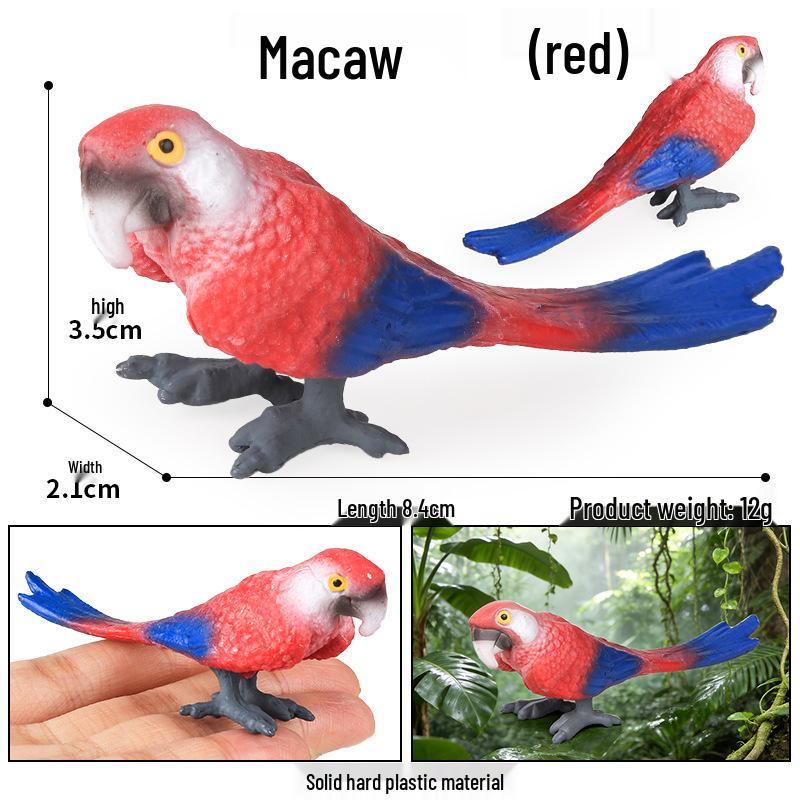 Realistic Wildlife Model: Parrot, Macaw, Peacock Heart Cognitive Toy for Children
