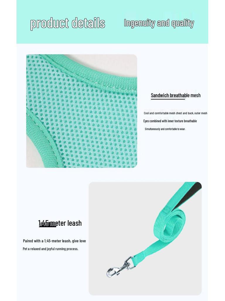 Защитная шлейка и поводок для кошек и маленьких собак - Веревка для прогулок на улице для тедди и бишон-фризе