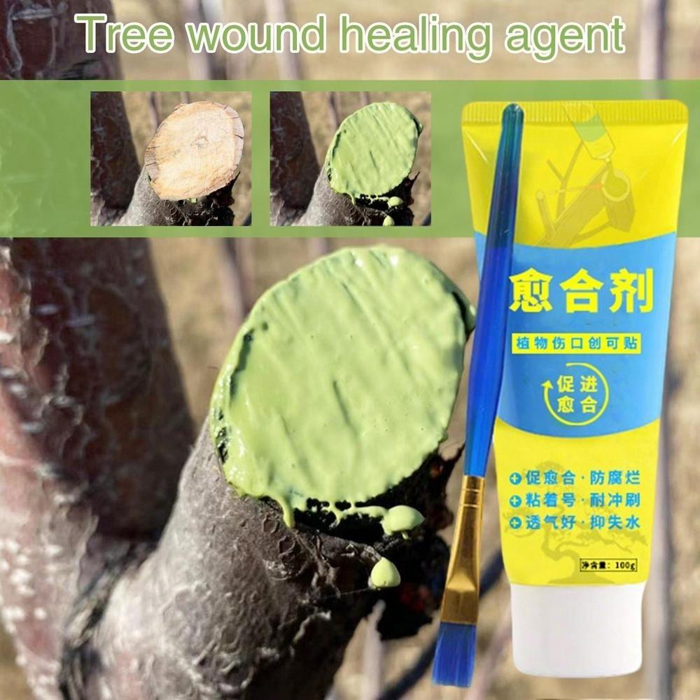 100g Tree Wound Sealant Smear Agent Bonsai Cut Paste New Grafting Tree Sealer  Tree Care