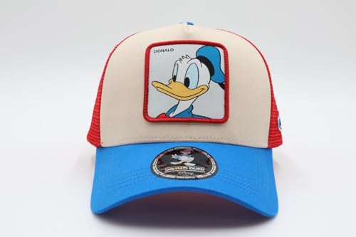 Сетчатая кепка с нашивкой Disney DDN-MCP04