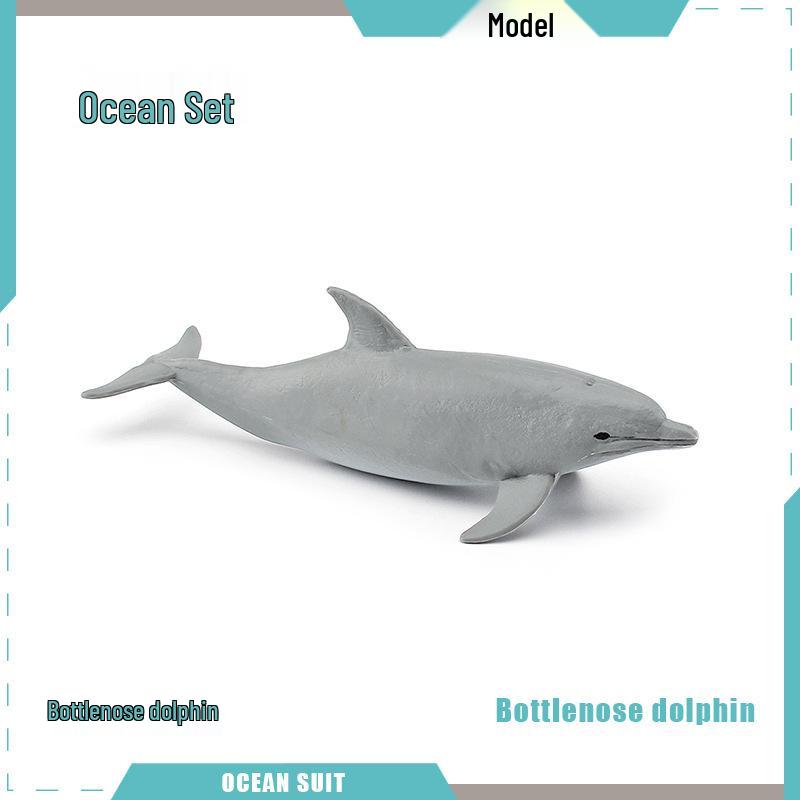 Children's Marine Animal Model Set: Mini Whale, Shark, Dolphin, Turtle, Sea Lion