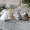 1 шт., имитация кролика, модель животного, украшение для дома, кролик, украшения для дома, мех кролика, подарки