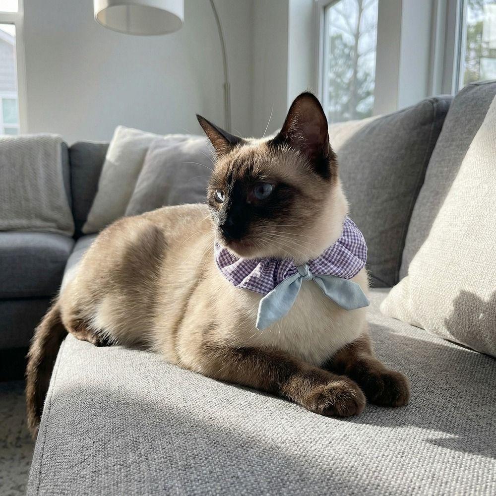 Comfortable Dog Collar Plaid Pattern Cat Neck Wear Pet Accessories Pet Cat Scarf Take Photos