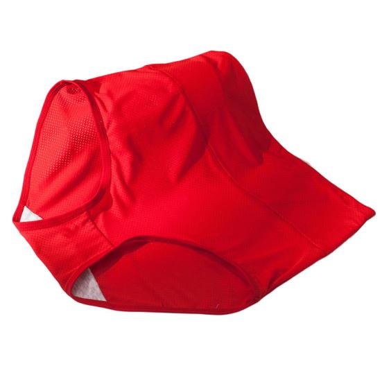 Trendy Women Briefs Seamless Replacement Soft High Elasticity Ladies Panties Underpants Underwear Daily Wear