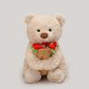 Teddy Cute Bear Filled Pp Cotton Rose Hat Plush Toy Gift For Girls Women
