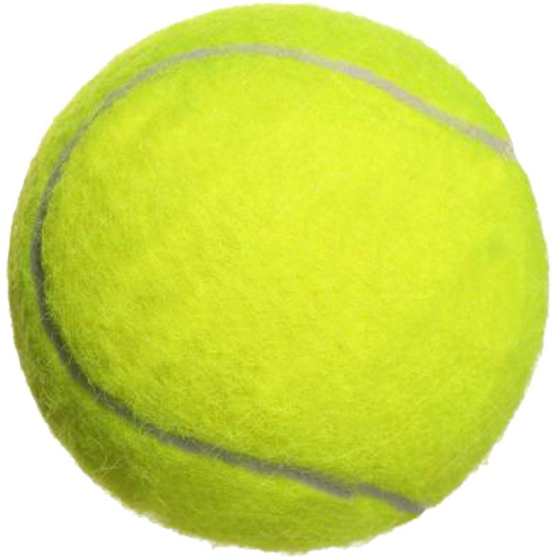 Boca Pet Tennis Training Massage Ball for Intermediate & Advanced - Durable, Bouncy & Abrasion Resistant Racket