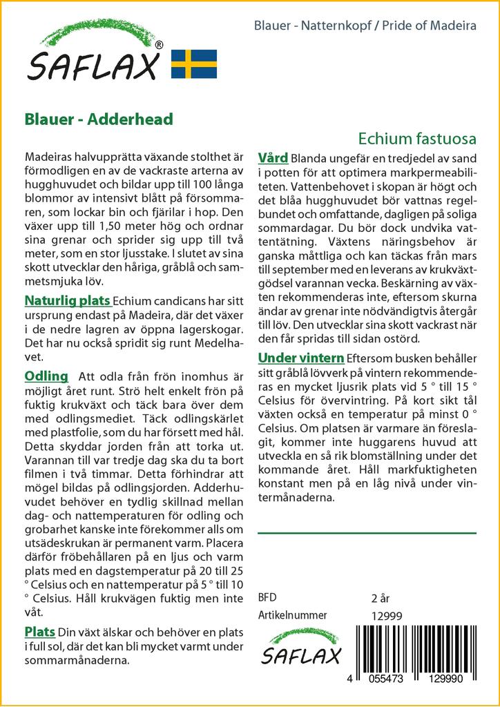 SAFLAX Гордость Мадейры - 100 семян - Echium fastuosa