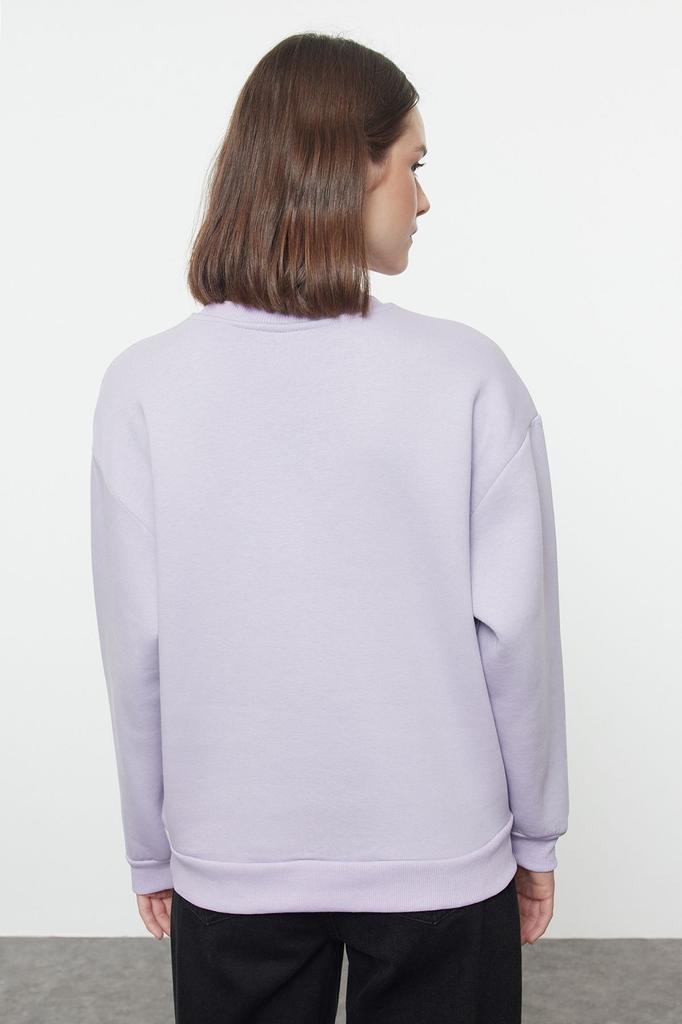 Женская модная стильная толстовка с вышитым изображением животных из камня, обычная, нормальная посадка, толстая внутренняя флисовая трикотажная толстовка