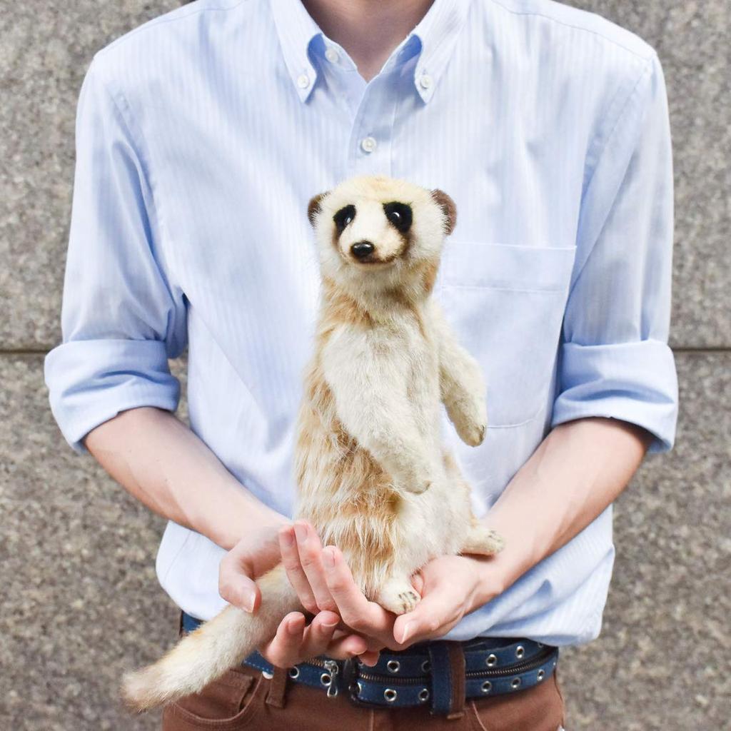 HANSA Meerkat No.3703 Meerkat No.3703