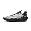Кроссовки для баскетбола Li Ning Hurricane Мужские Низкие Стандартные Белый/Черный ABAU083-13