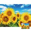 Puzzle Gallery Sunflower Field Jigsaw Puzzle, Korean Popular Puzzles