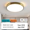 2025 Modern Minimalist LED Ceiling Light for Bedroom, Living Room, and Hall