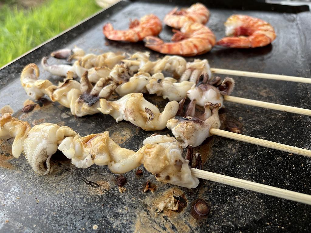 Двухконфорочная плита Coleman Powerhouse LP 2 Совместимая решетка-гриль (256/260) (Толщина 3,2 мм)