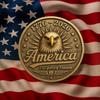 US 250th Anniversary Coin Commemorative 250 Years of Freedom Coin 1776 To 2026 Patriotic