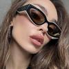 Panda Outline Colorblock Sunglasses 2025: Trendy European and American Fashion for Women