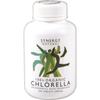 Synergy Natural Organic Chlorella 500mg 200t