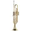 Juspins Trumpet Bb Flat Brass Gold Painted Exquisite Durable Musical Instrument with Mouthpiece Gloves Strap Case