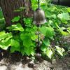 Halloween Witch Bell Wind Chime Hanging Metal Bell Farmhouse Rustic Vintage Outdoor