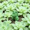 Креативные подарки на день рождения для девочек 3D-печатная фигурка единорога с вязаной текстурой, милый компактный радужный декор для стола, статуэтка животного, настольный