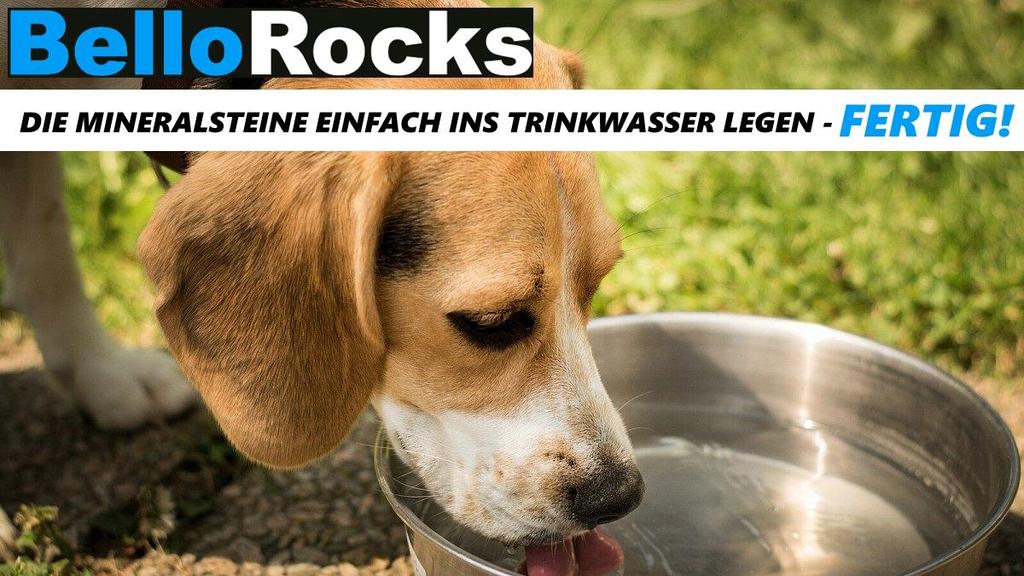 BELLOROCKS минеральные камни против желтого цвета газона, вызванного собачьей мочой Водные камни 200 г