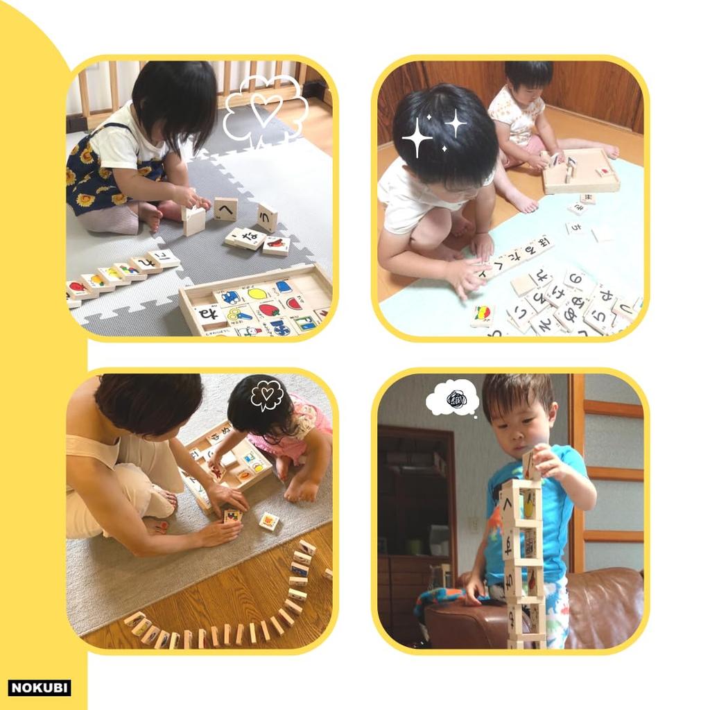 NOKUBI Gujo Hachiman Letter Building 50 Ages and Made In Japan Blocks, Pieces, 1.5 Up, (Educational Toy)