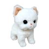 Naito Design Institute "Together Is Good" New Plush Toy Shiro Cat Height Approx. 18cm