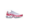 Кроссовки AIR MAX PLUS