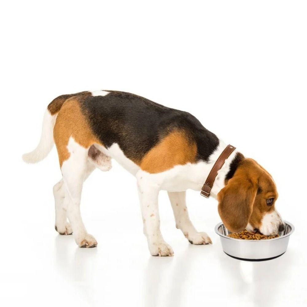 Нескользящая силиконовая основа Кормушки для домашних животных Миска для собак из нержавеющей стали Практичные миски для собак Щенок