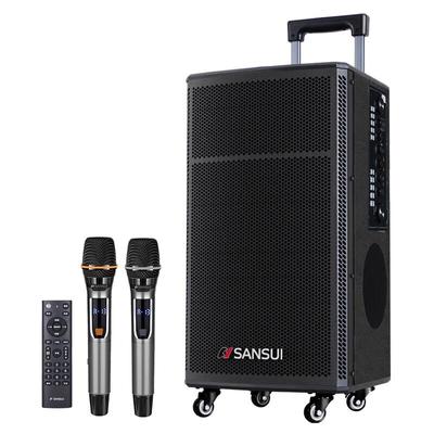Портативная уличная KTV-колонка SANSUI TE12, штепсель CN (адаптер в комплекте)