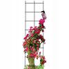 Garden Pergola Trellis For Climbing Plants