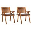 Day and Night - Day and Night Garden Dining Chairs with Cushions 2 Pcs Solid Acacia Wood
