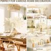 Reed Box Pampas Grass Dried Flower Decoration