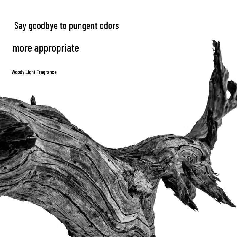 Li Ran Men's Dry Hair Spray